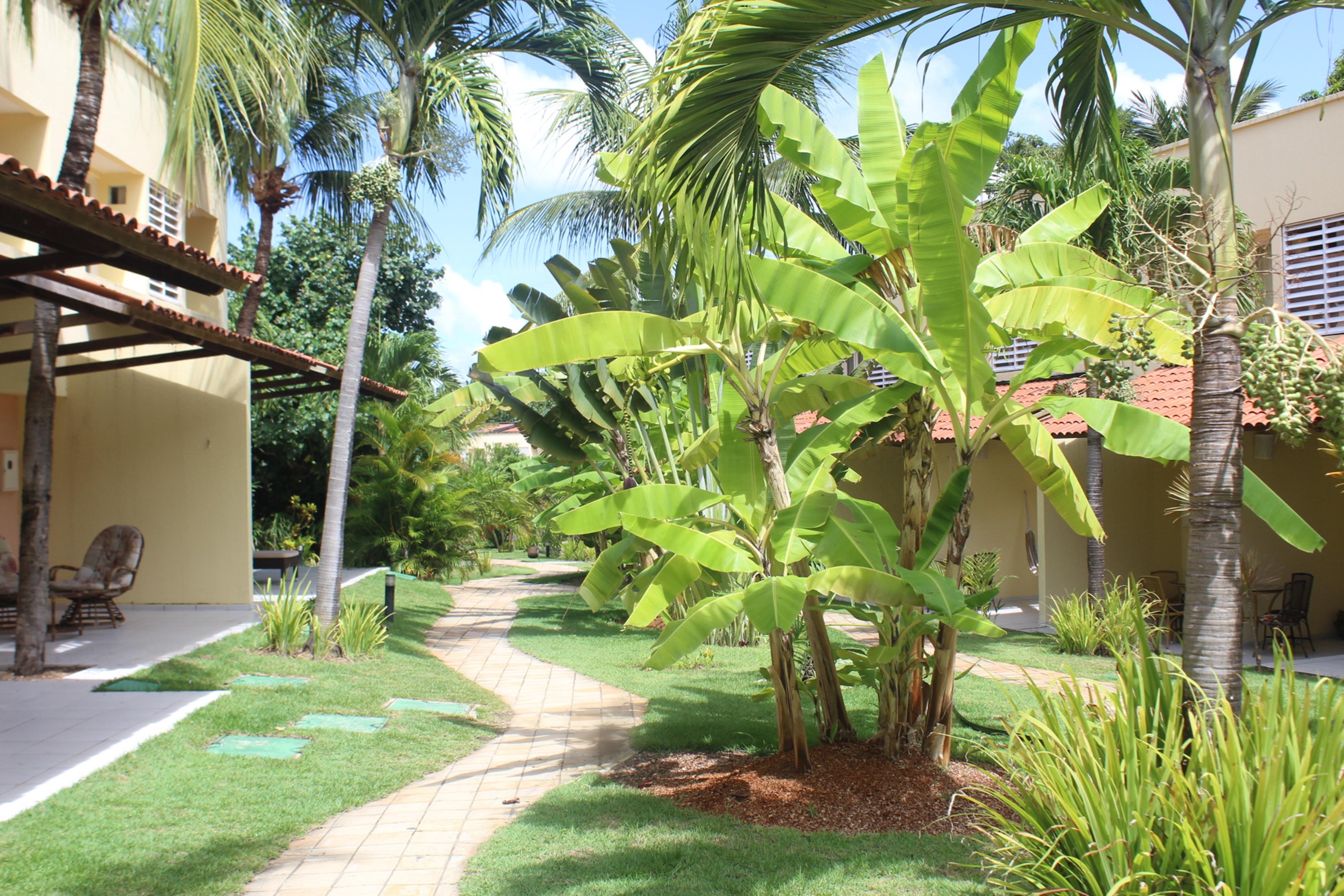 Hotel Pipa Atlantico Praia de Pipa Εξωτερικό φωτογραφία
